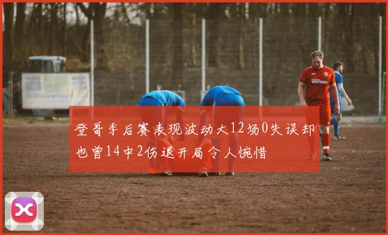 登哥季后赛表现波动大12场0失误却也曾14中2伤退开局令人惋惜